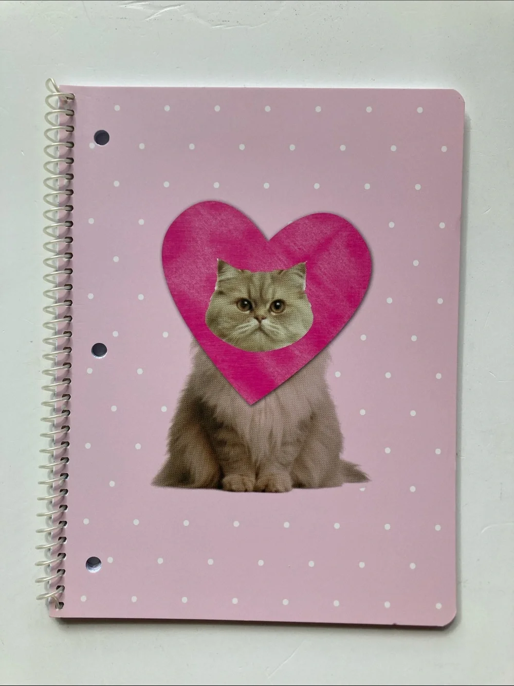 5 Pink 1 Subject Notebook 70 Wide Ruled Sheet Lot 10.5” x 8” Cat in heart